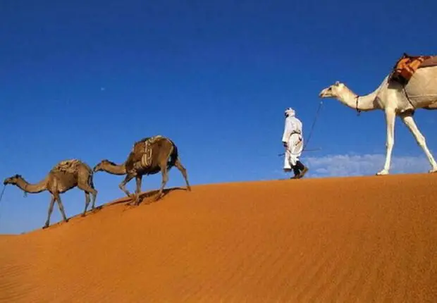 L&rsquo;Algérie, future « grande destination » des touristes britanniques ?