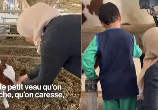 Initier les enfants à la nature, telle est la mission de cette ferme à Tipaza