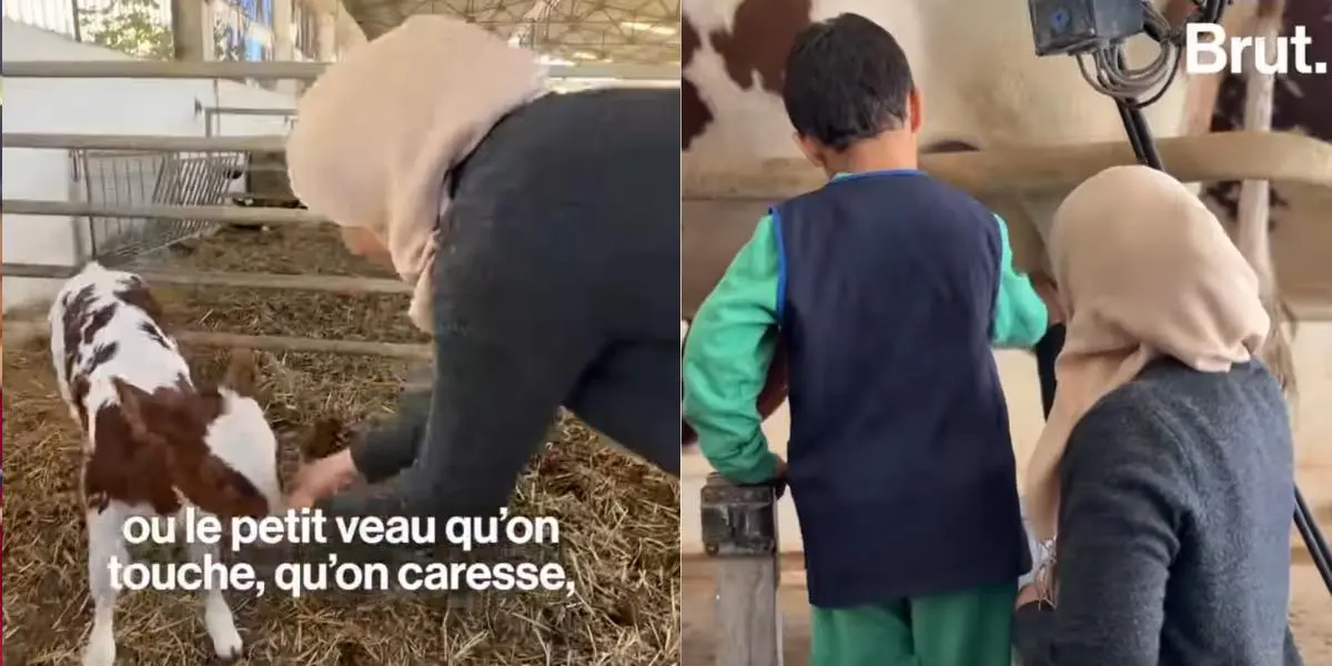 Initier les enfants à la nature, telle est la mission de cette ferme à Tipaza