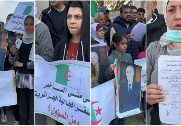 SOS d’Algériens bloqués à Gaza : ils manifestent et demandent à Tebboune à être évacués