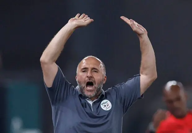 Belmadi toujours en poste, Sadi va-t-il le licencier ?