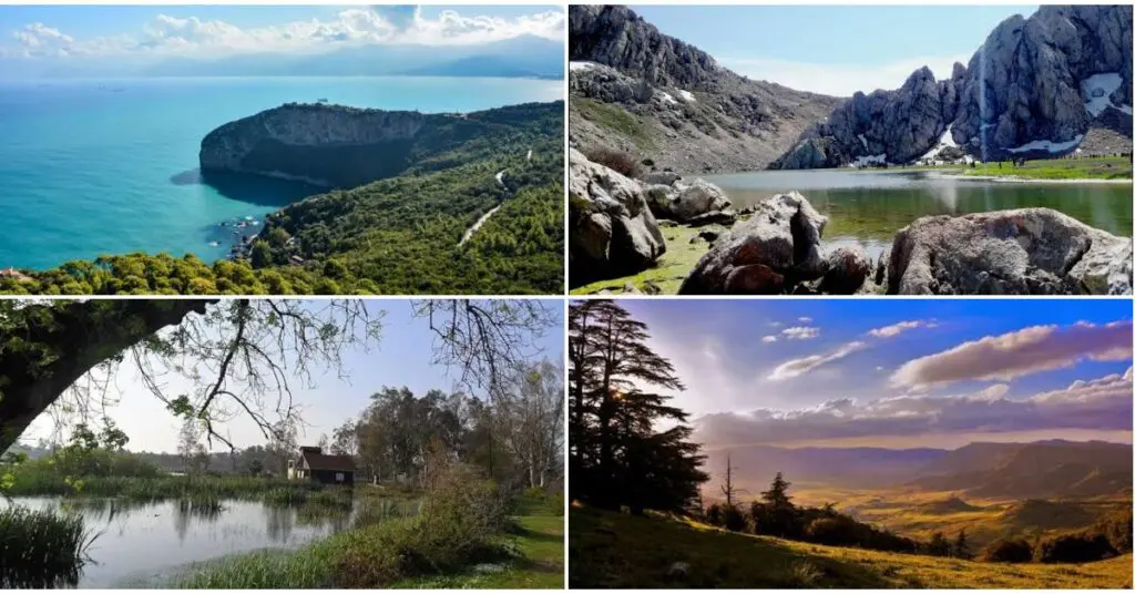 La biodiversité en Algérie : des parcs naturels a couper le souffle