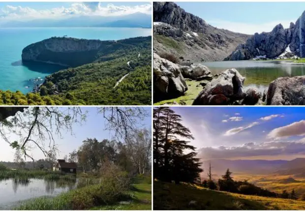 La biodiversité en Algérie : des parcs naturels a couper le souffle