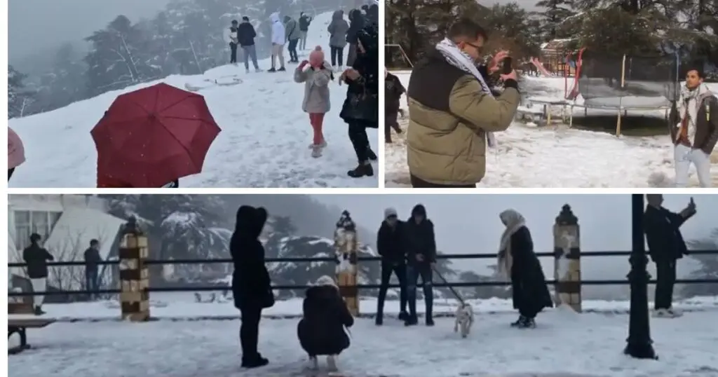 [PHOTOS & VIDÉOS] Les Algériens célèbrent la NEIGE à Chréa, Tikjda et Theniet El Had