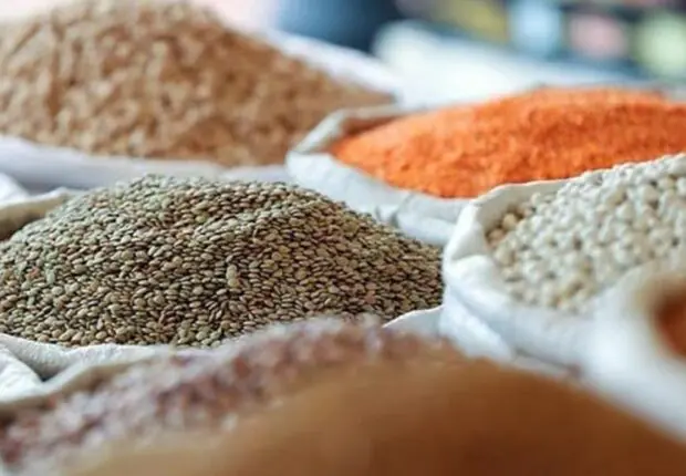 Baisse des prix des légumes sec : Chorfa annonce plusieurs mesures