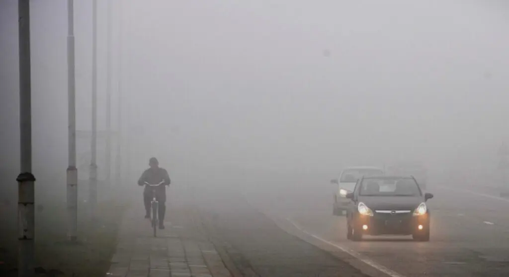 BMS en Algérie : Brume épaisse et brouillard en perspective