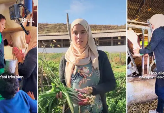 De HEC à la permaculture : l’exemple inspirant de Wassila Zaida