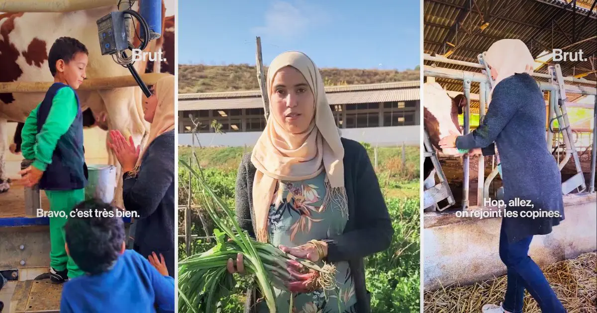 De HEC à la permaculture : l’exemple inspirant de Wassila Zaida