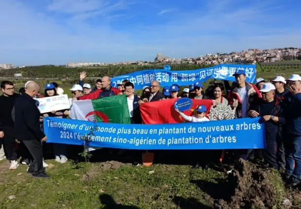 CSCEC Algérie s’engage pour un avenir durable en plantant 500 oliviers