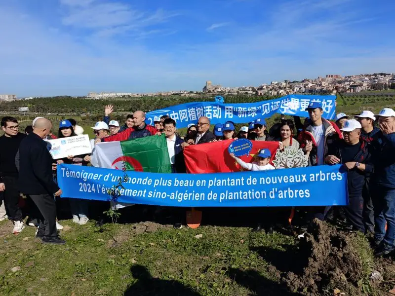 CSCEC Algérie s’engage pour un avenir durable en plantant 500 oliviers