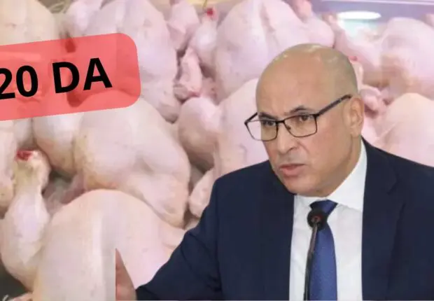 L’Algérie importe 10000 tonnes de poulet : le prix de la viande blanche va-t-il baisser ?