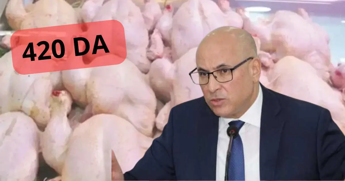 L’Algérie importe 10000 tonnes de poulet : le prix de la viande blanche va-t-il baisser ?
