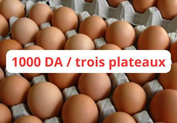 Les prix des œufs en chute libre : 1000 DA pour trois plateaux !