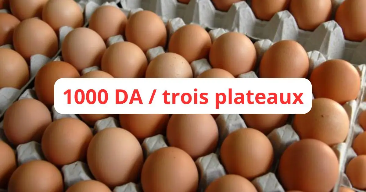 Les prix des œufs en chute libre : 1000 DA pour trois plateaux !