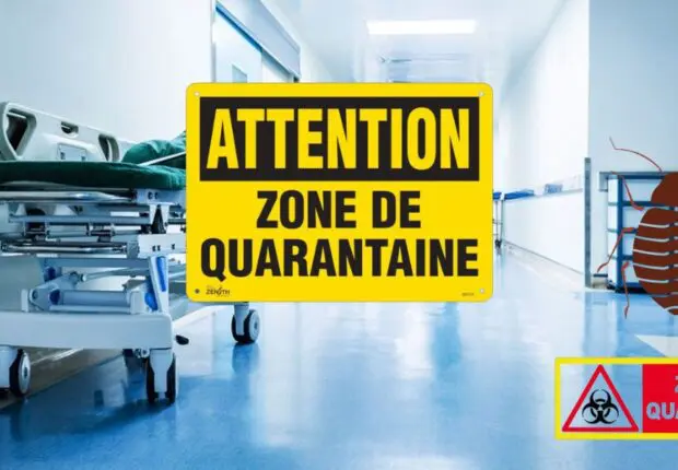 Punaises de lit : fermeture temporaire des urgences dans un centre hospitalier en France