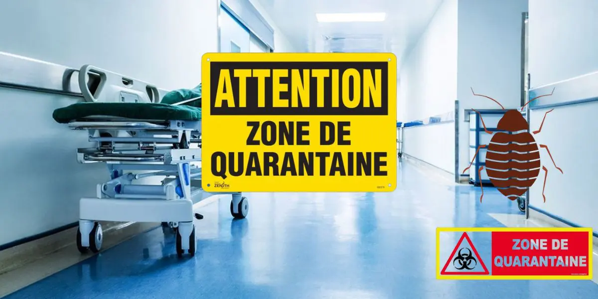 Punaises de lit : fermeture temporaire des urgences dans un centre hospitalier en France