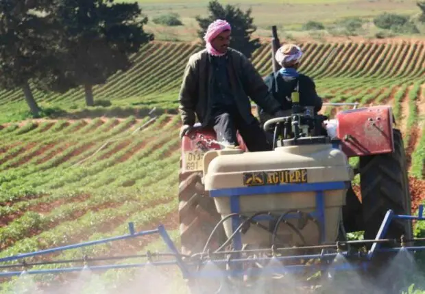 Tebboune ordonne une indemnité de 50.000 DA aux agriculteurs impactés par les inondations