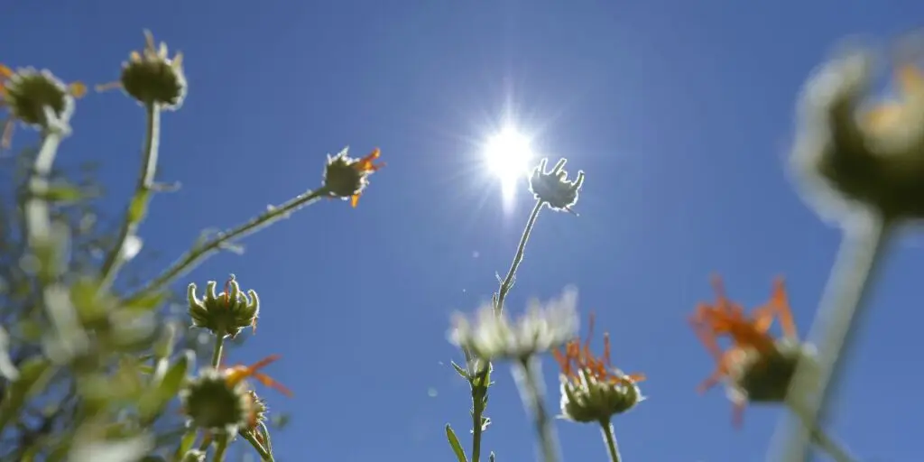 Bulletin météo en Algérie : une journée ensoleillée et chaude s’annonce ce lundi 18 mars
