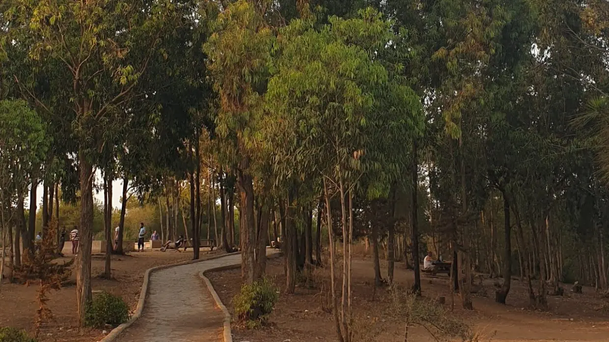 Forêt de Baïnem