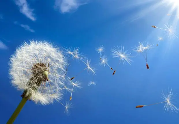 Météo Algérie : persistance d’un temps chaud ce mardi 19 mars dans plusieurs régions !