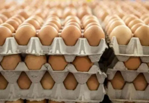 Hausse alarmante du prix des œufs : que se passe-t-il sur le marché algérien ?