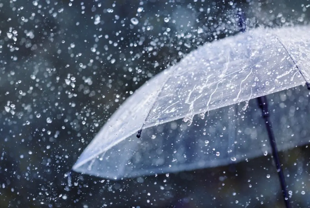 Alerte météo en Algérie: Précipitations attendues dans plusieurs wilayas