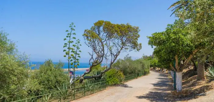 Promenade de l'étang à Oran