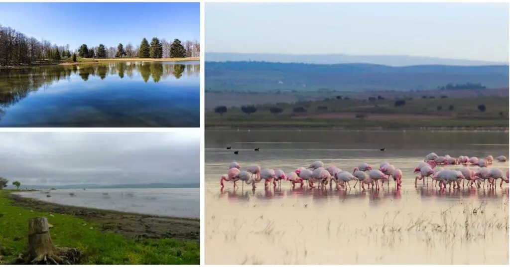 Visiter l’Algérie en 2024 : les plus beaux lacs et étendues d’eau du pays