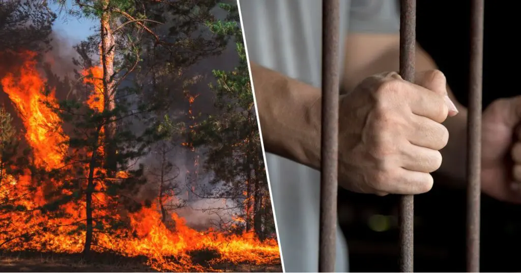 Feux de forêt : 7 ans de prison ferme pour les responsables de l&rsquo;incendie de Djnan El-Anab