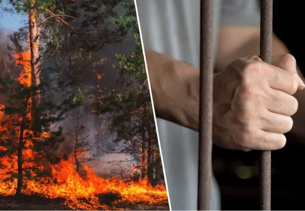Feux de forêt : 7 ans de prison ferme pour les responsables de l’incendie de Djnan El-Anab