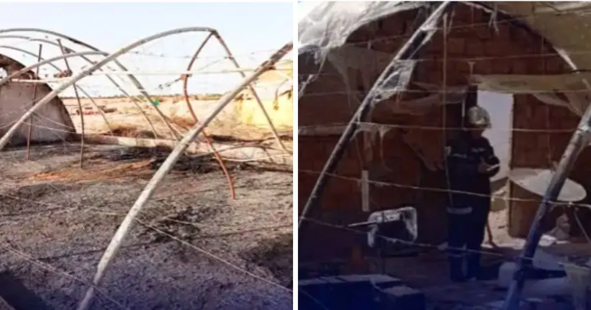 Même jour, même drame : des milliers de volailles périssent dans des incendies simultanés