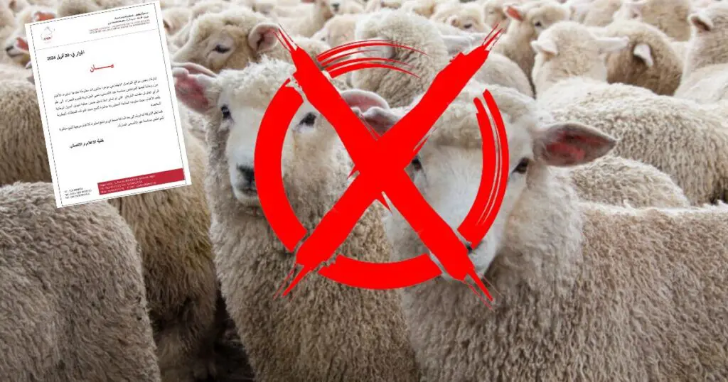 Aïd al-Adha : Alviar dément l’importation de moutons de Roumanie mais le flou persiste