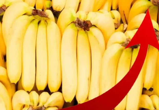 Banane : « son prix ne devrait pas dépasser 200 DA », Zitouni qui promet des sanctions