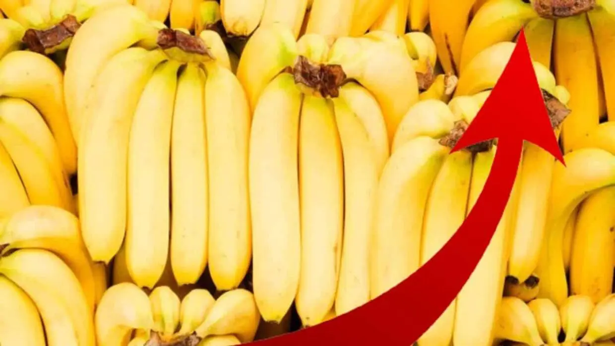 Banane : « son prix ne devrait pas dépasser 200 DA », Zitouni qui promet des sanctions