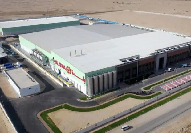 Lait en poudre : le géant qatari, Baladna, va construire une méga-ferme en Algérie