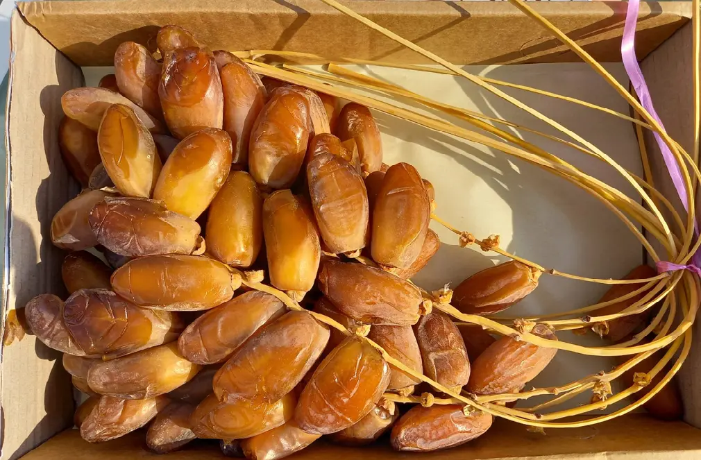 Deglet Nour algérienne