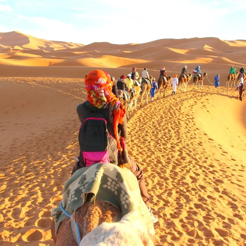 Balade en dromadaire à Taghit