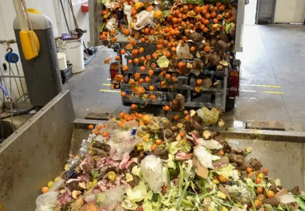 Gaspillage alimentaire : les Algériens jettent 30 % de leur nourriture à la poubelle