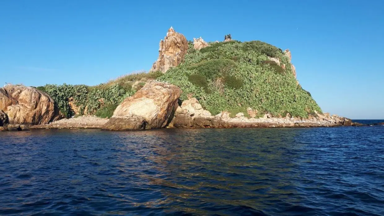 Ile des Pisans