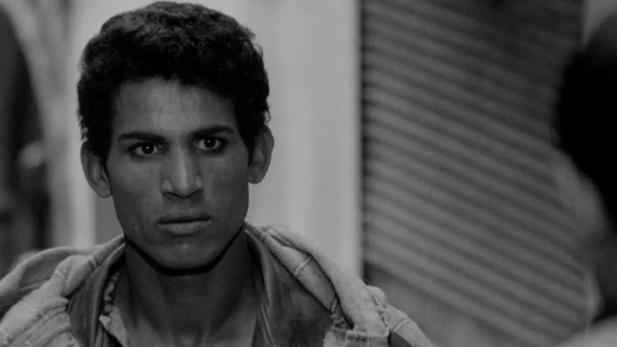 Mouvement pro-palestinien aux USA: « La Bataille d’Alger » inspire les étudiants américains