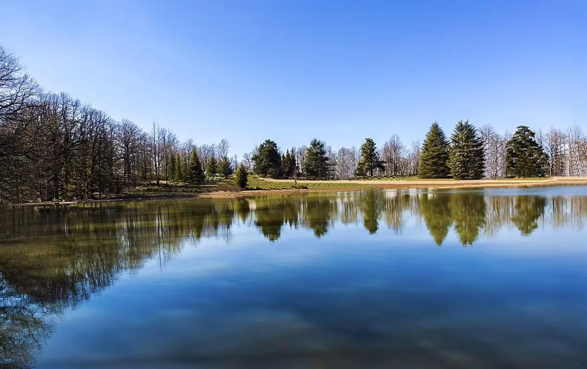 Lac noir d'Akfadou