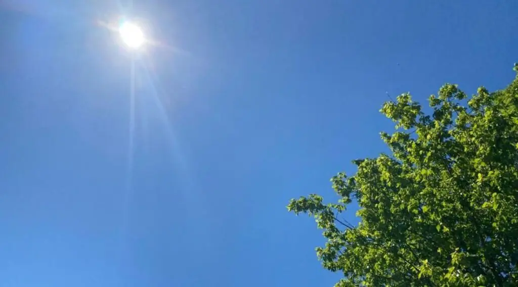 La météo en Algérie ce jeudi 4 avril : temps printanier en vue pour cette fin de semaine