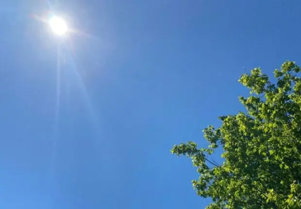 La météo en Algérie ce jeudi 4 avril : temps printanier en vue pour cette fin de semaine