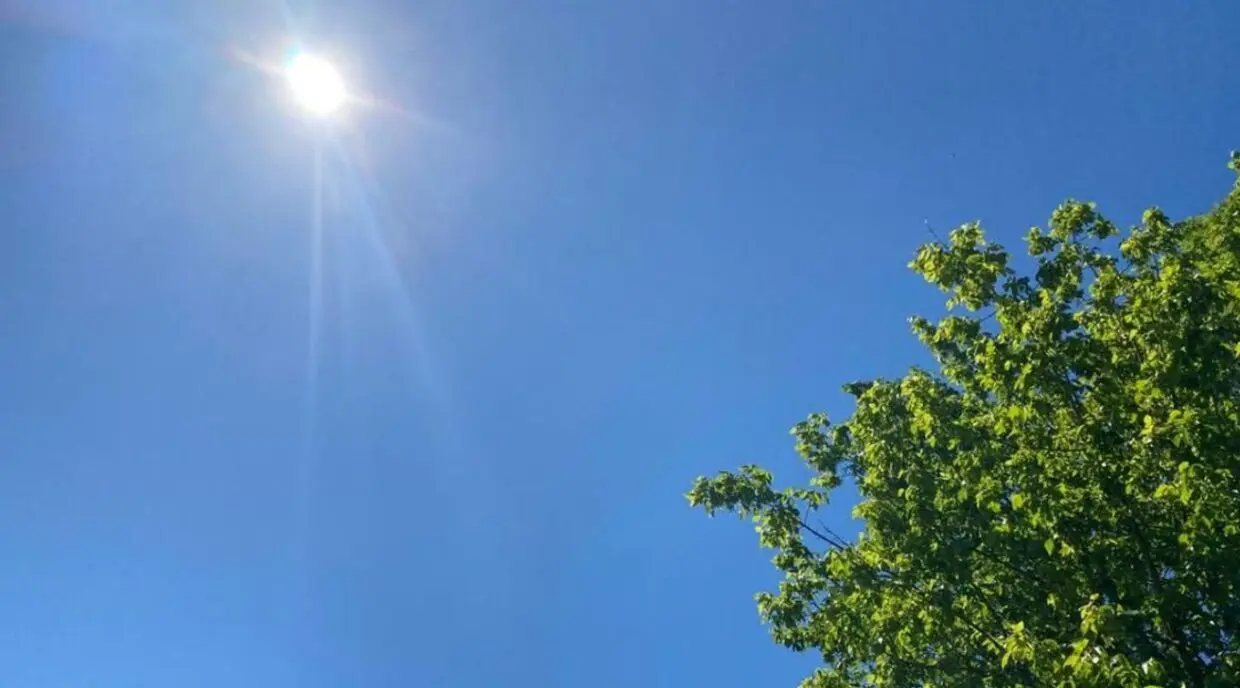 La météo en Algérie ce jeudi 4 avril : temps printanier en vue pour cette fin de semaine