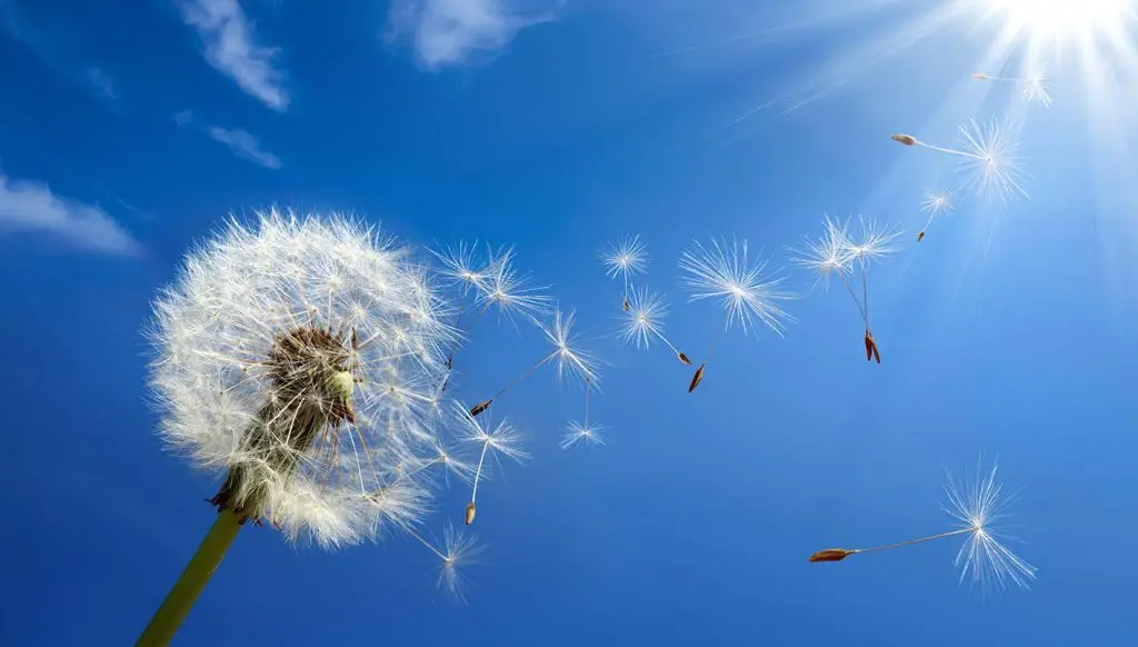 Prévisions Météo Algérie du jeudi 25 avril : fin de semaine ensoleillée en perspective !
