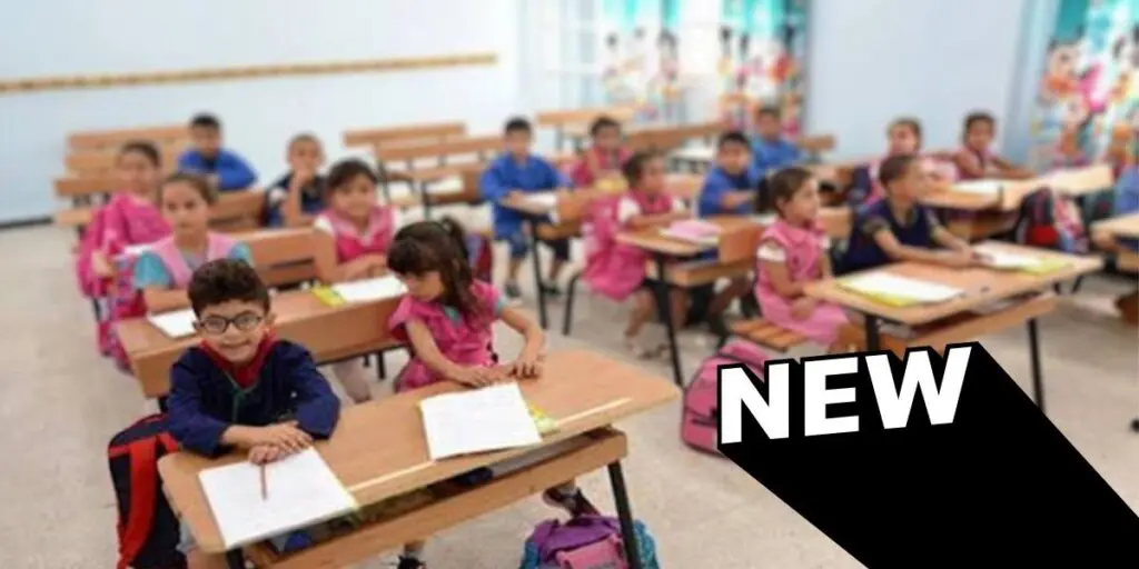 Année scolaire 2024 – 2025 : Les livres réinventés pour la rentrée primaire