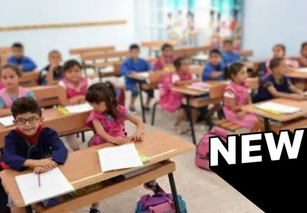 Année scolaire 2024 – 2025 : Les livres réinventés pour la rentrée primaire