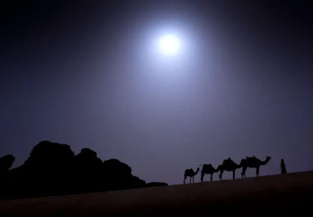 Voyager en Afrique : l’Algérie, une destination fun pour se divertir en 2024