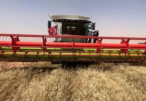 Révolution agricole : l’Algérie se hisse au 2ᵉ rang africain en production de blé