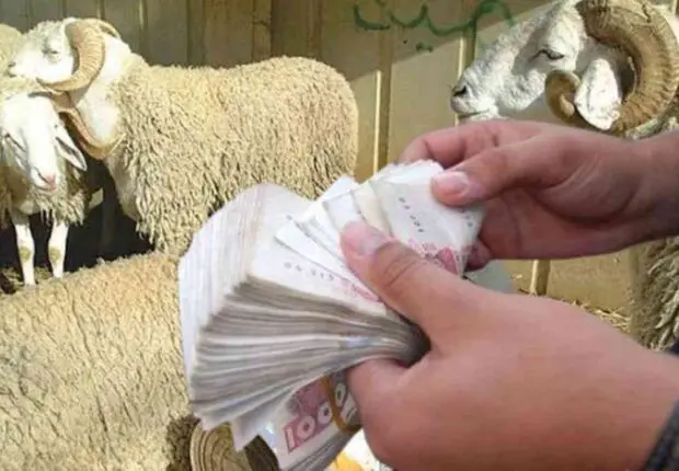Aïd Al-Adha 2024 : des moutons par facilité pour les employés de ce secteur